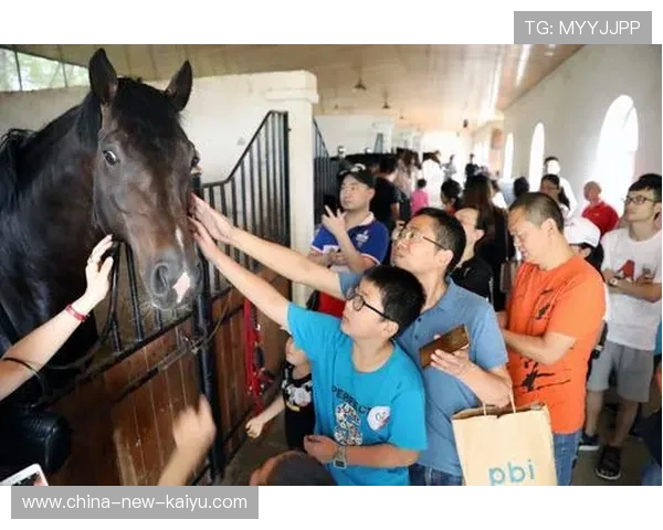 篮球联赛推动青训球员成长档案的社会化评价体系，篮球青少年训练计划