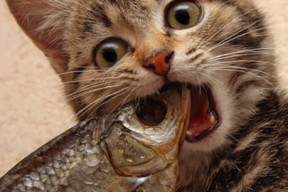 开云体育app官网-冬奥会筹备工作顺利推进场馆即将完工，冬奥会场馆建设进展