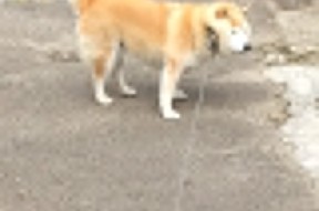 开云体育链接-西甲赛季的商业运营创新实践，西甲竞争力