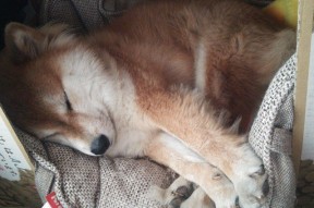 勇士与地方高校合作推广篮球文化教育