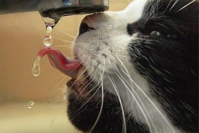 开云体育app在线-赛后分析称切尔西整体战术执行无懈可击，切尔西太强了