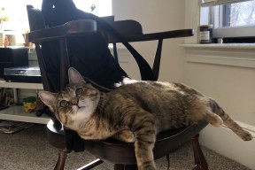 开云体育登录入口-世界杯预选赛战术解读 中超晋级成焦点，世界杯预选赛中国队局势