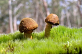 开云体育网站-艾比·德尔福：他的防守让南非队的整体战术更加严密和高效，艾比 里德尔