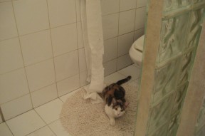 开云体育下载-英超球队采用心率-技术动作联合建模调整恢复时间，英超联赛数据统计