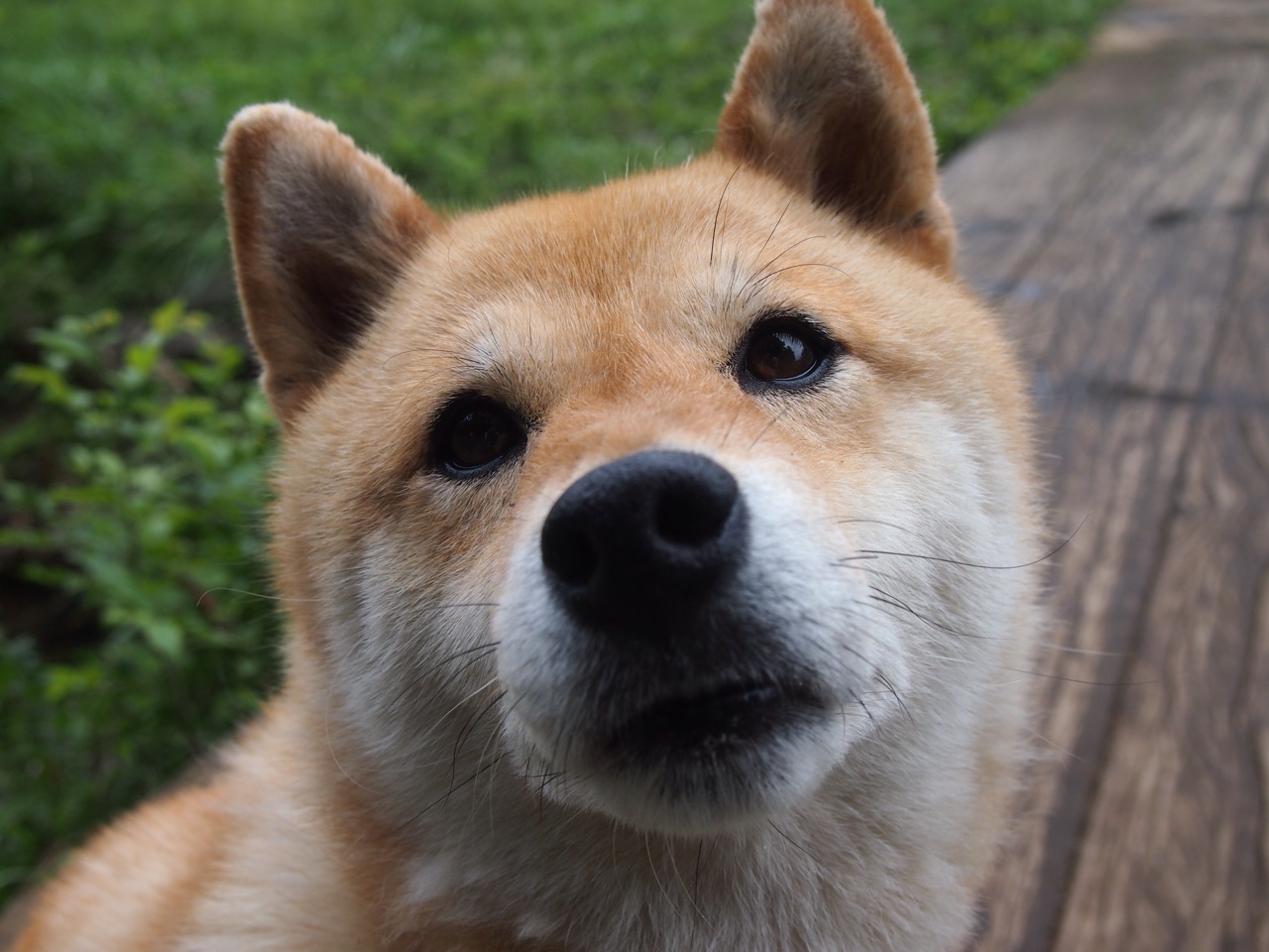 NBA球队训练数据分析与战术调整,nba球队训练时间