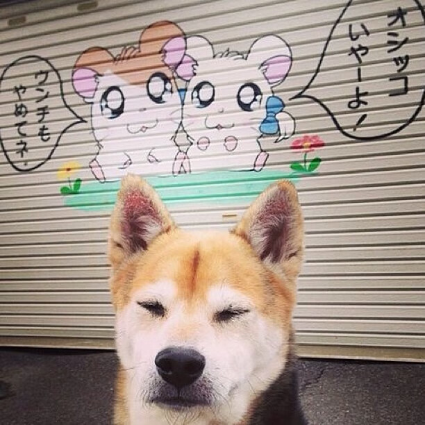 篮球运动员个性化训练计划设计,篮球运动员训练方案