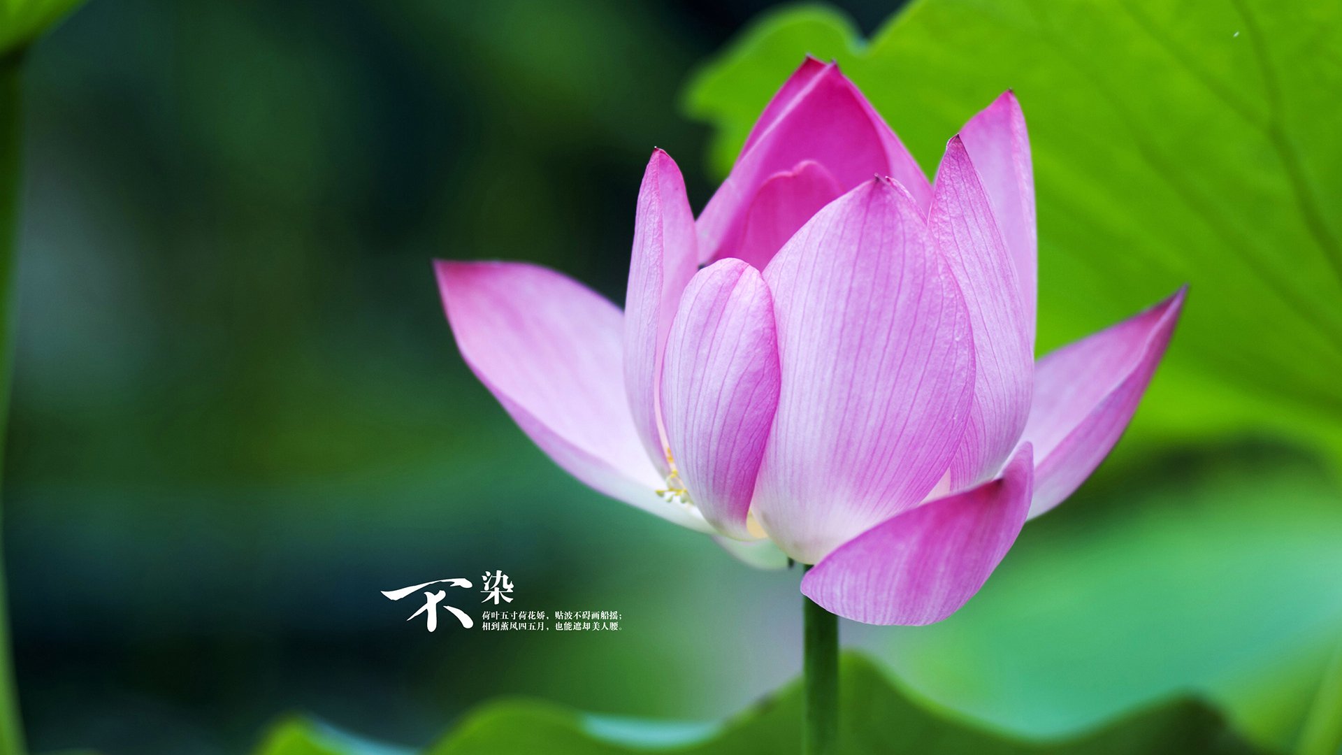 篮球运动员个性化训练计划设计,篮球运动员训练方案