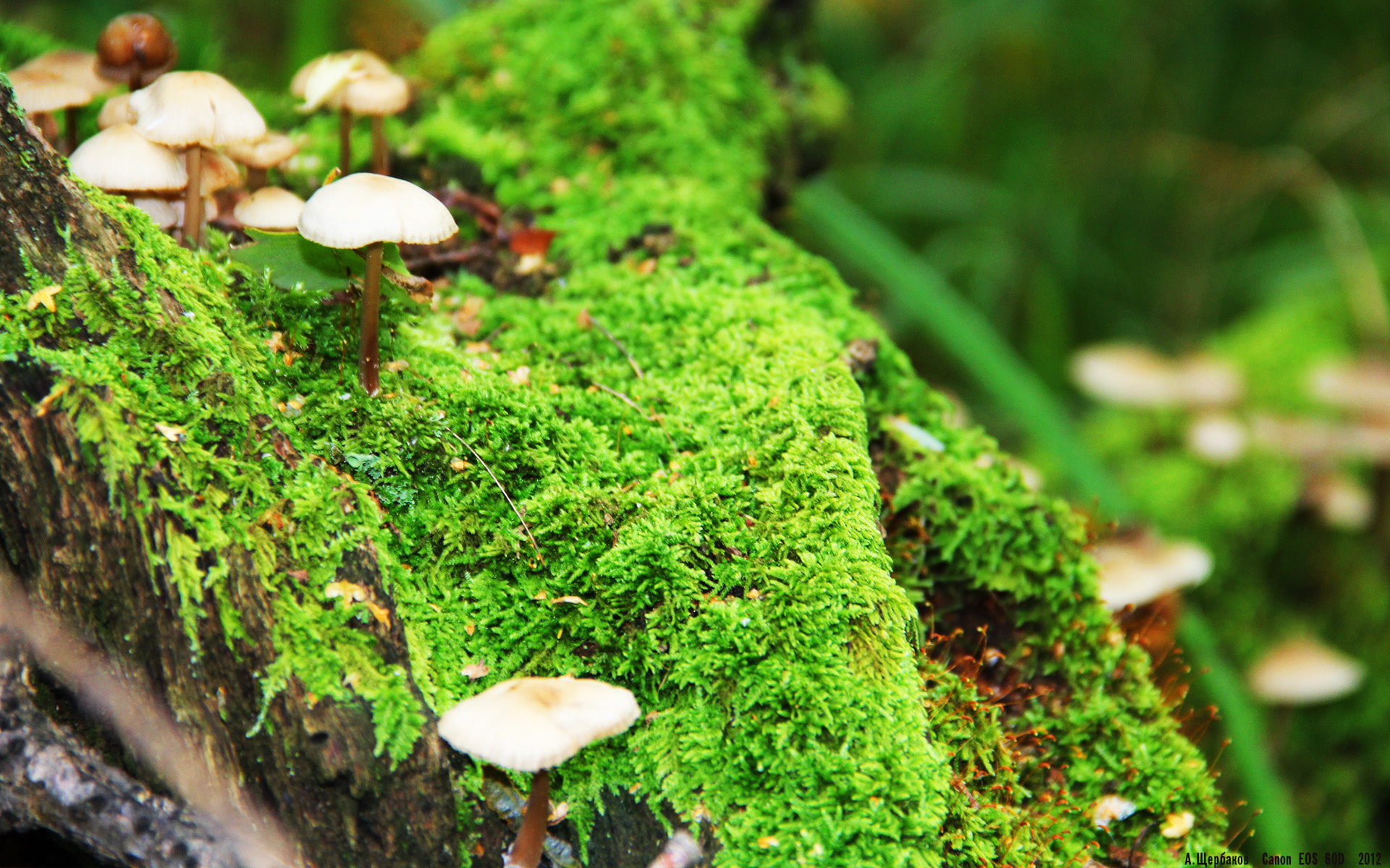 高校体育课程教学效果评估与改进,体育课教学效果评价怎么写