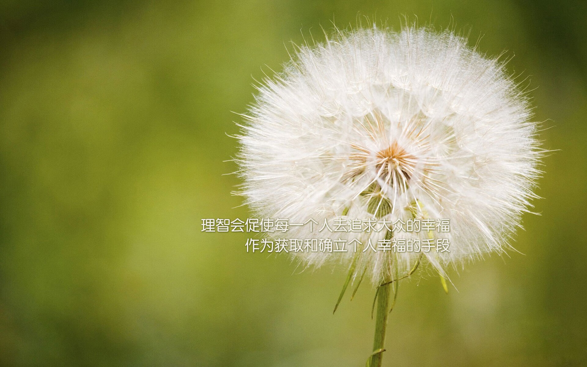 高校运动训练负荷调控研究,高校运动项目的训练设置