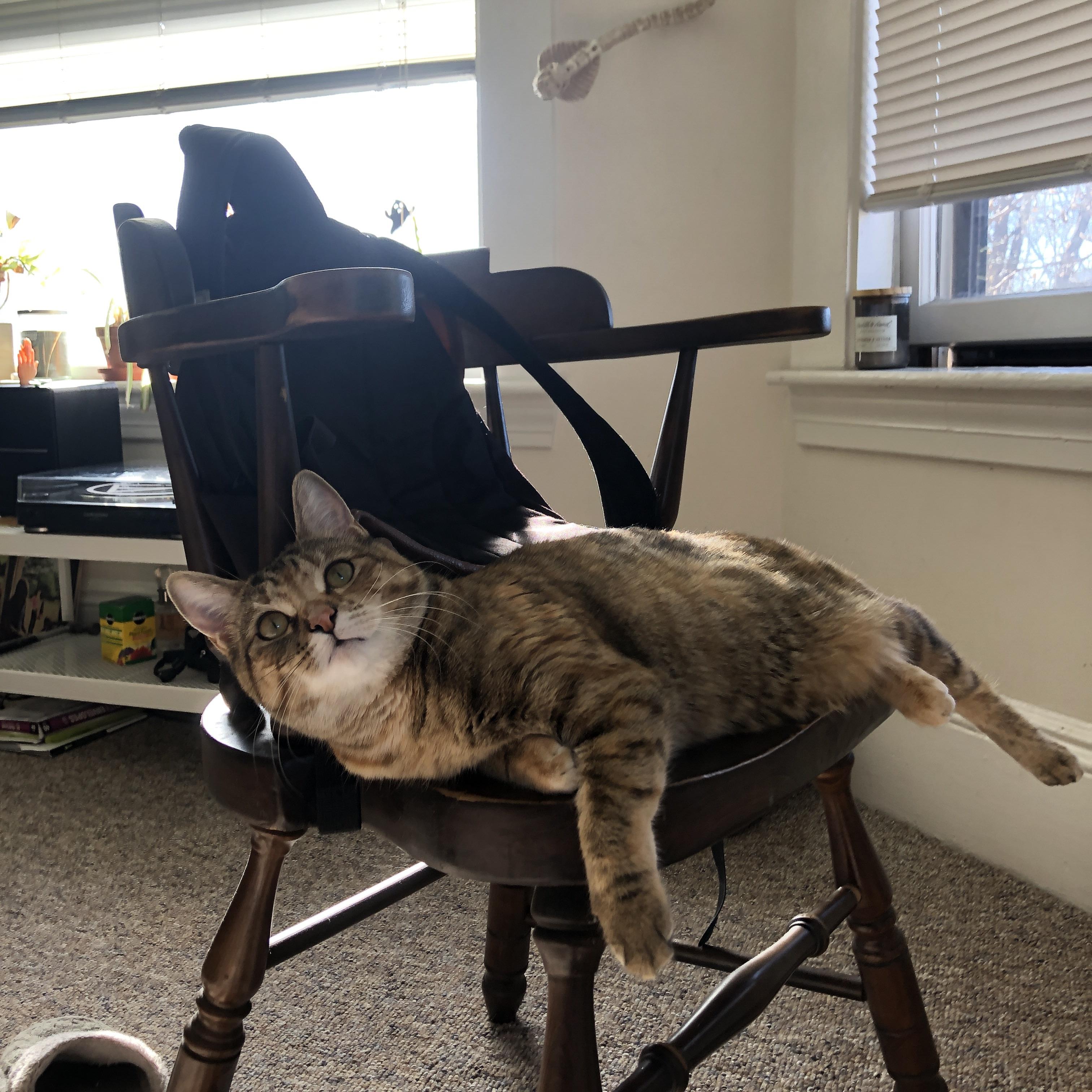 世界杯预选赛战术解读 中超晋级成焦点，世界杯预选赛中国队局势