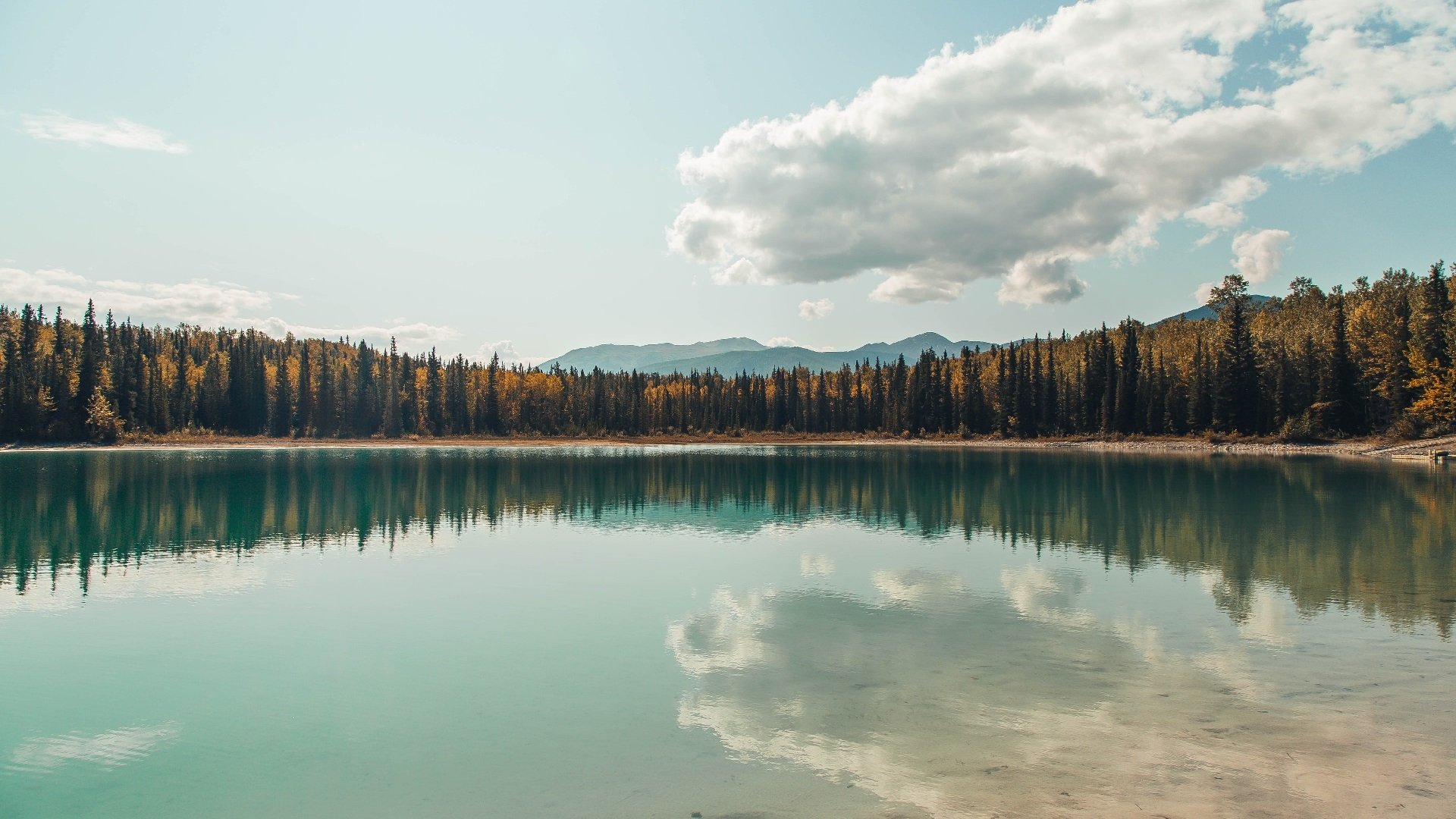 国际热身赛中国女足逆袭 球迷热情高涨，国足热身赛大胜