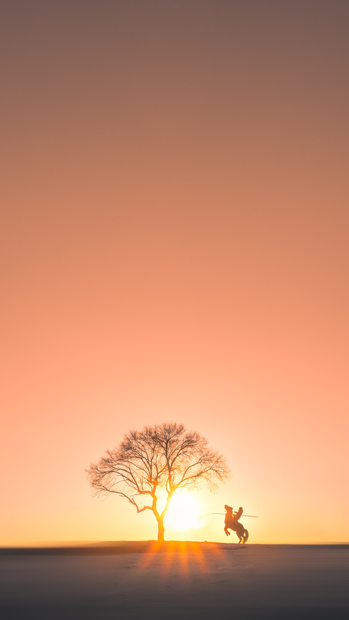 广东队利用挡拆战术不断撕裂对手防线,广东队战术打法