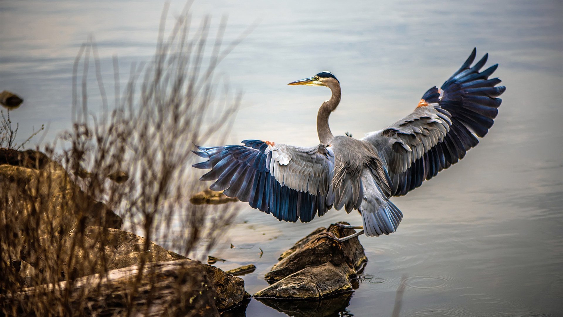控卫是否应具备压节奏能力以应对比分领先,控卫需要防守吗