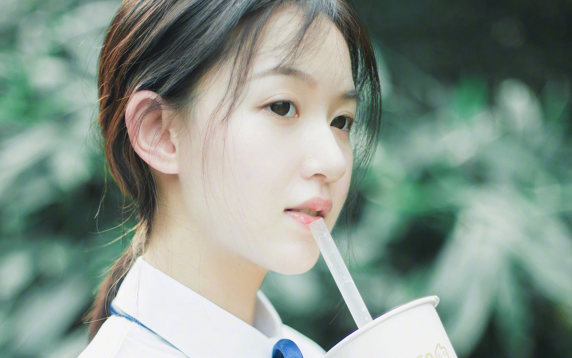 澳大利亚队的崛起：未来五年发展规划大揭秘，澳大利亚队实力