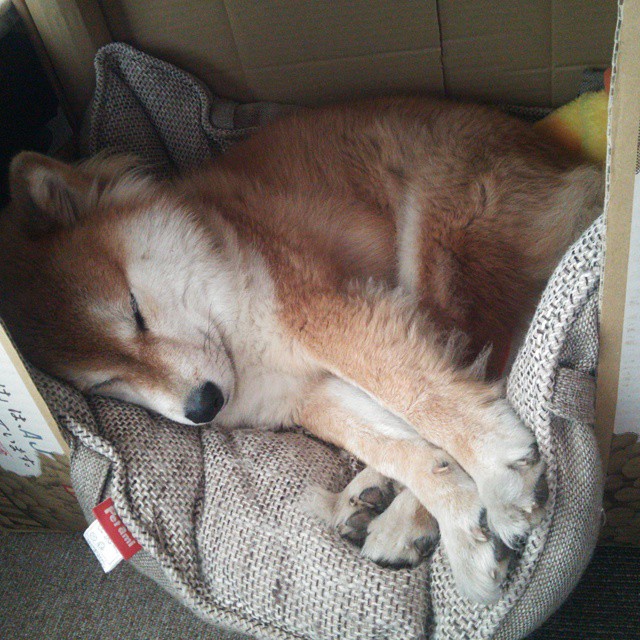 勇士与地方高校合作推广篮球文化教育