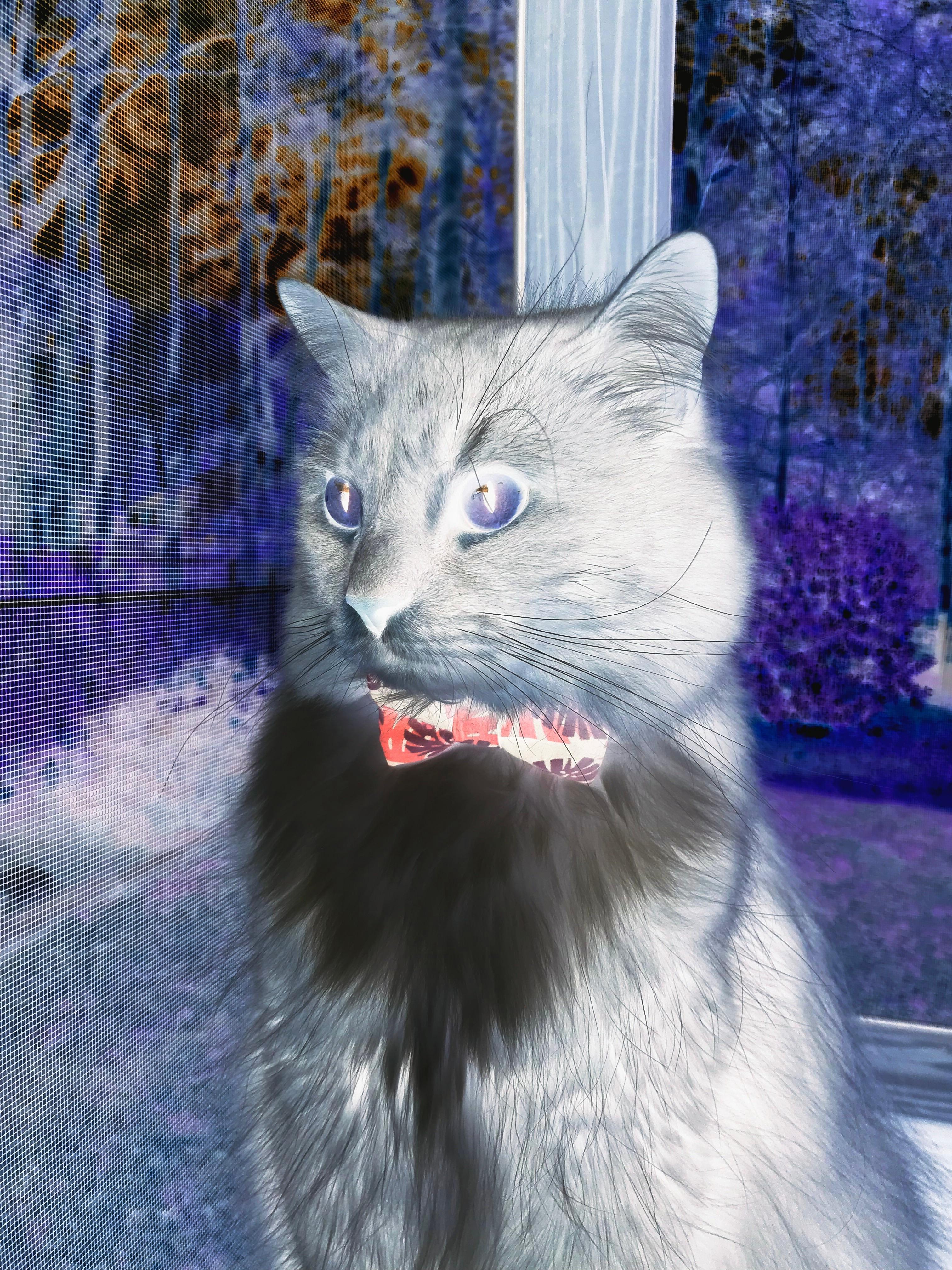 哈登持球主导进攻快船节奏更加流畅，哈登打快船数据