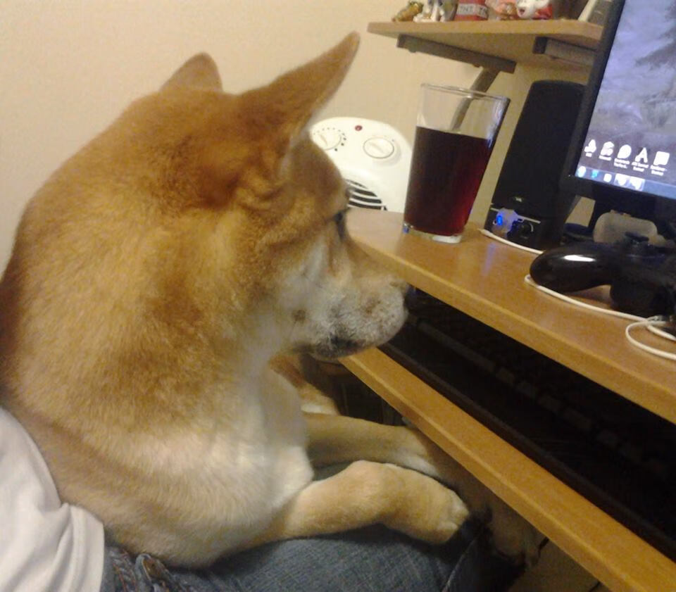 大型足球展在本地博物馆举行,推广足球文化,足球展览海报