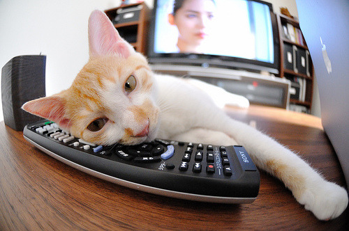 女篮青训鼓励球员参加多种类型比赛积累经验,女篮训练方法表格