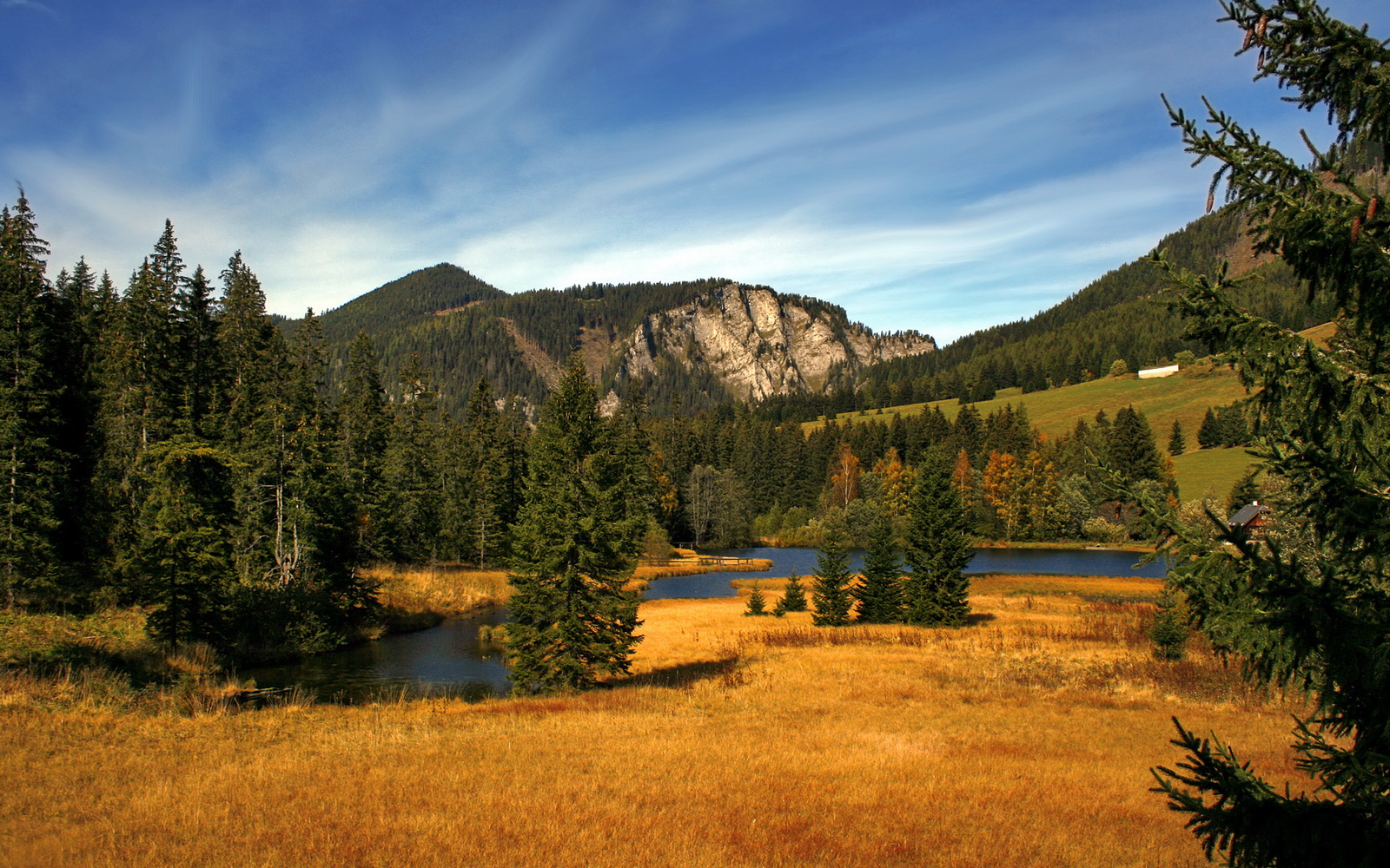 巴特尔的全场防守展现了袋鼠队攻防平衡的重要性，巴特尔代言的篮球鞋