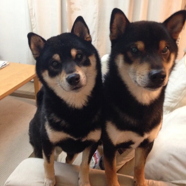 恩多比·恩乔:南非队的进攻大师,注定成为赛场上的焦点,恩多拉是哪个国家