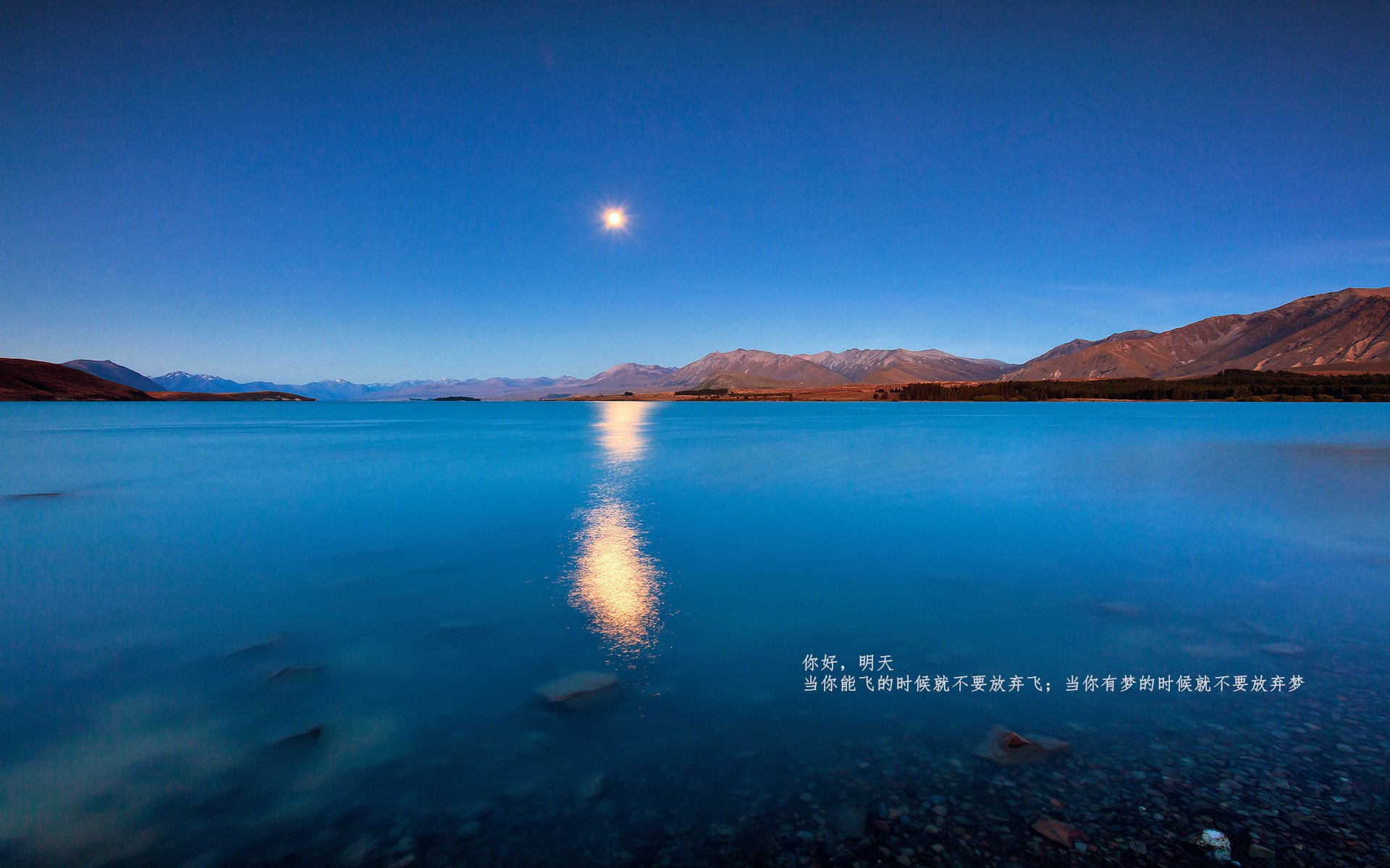 王楚钦对阵韩国名将表现冷静沉着，王楚钦19_0