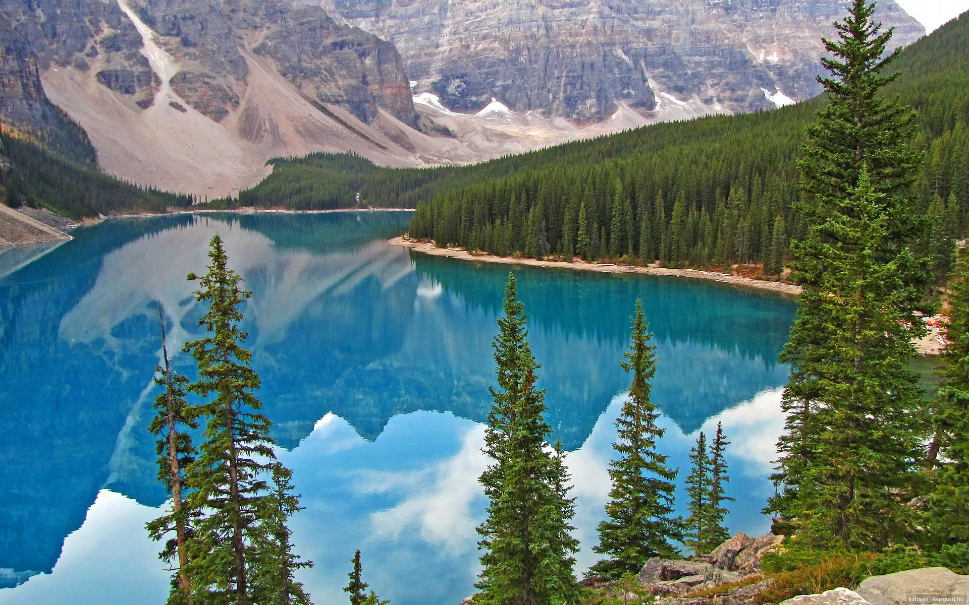 美洲杯精彩纷呈：激情、荣耀与奇迹！，美洲杯精彩吗