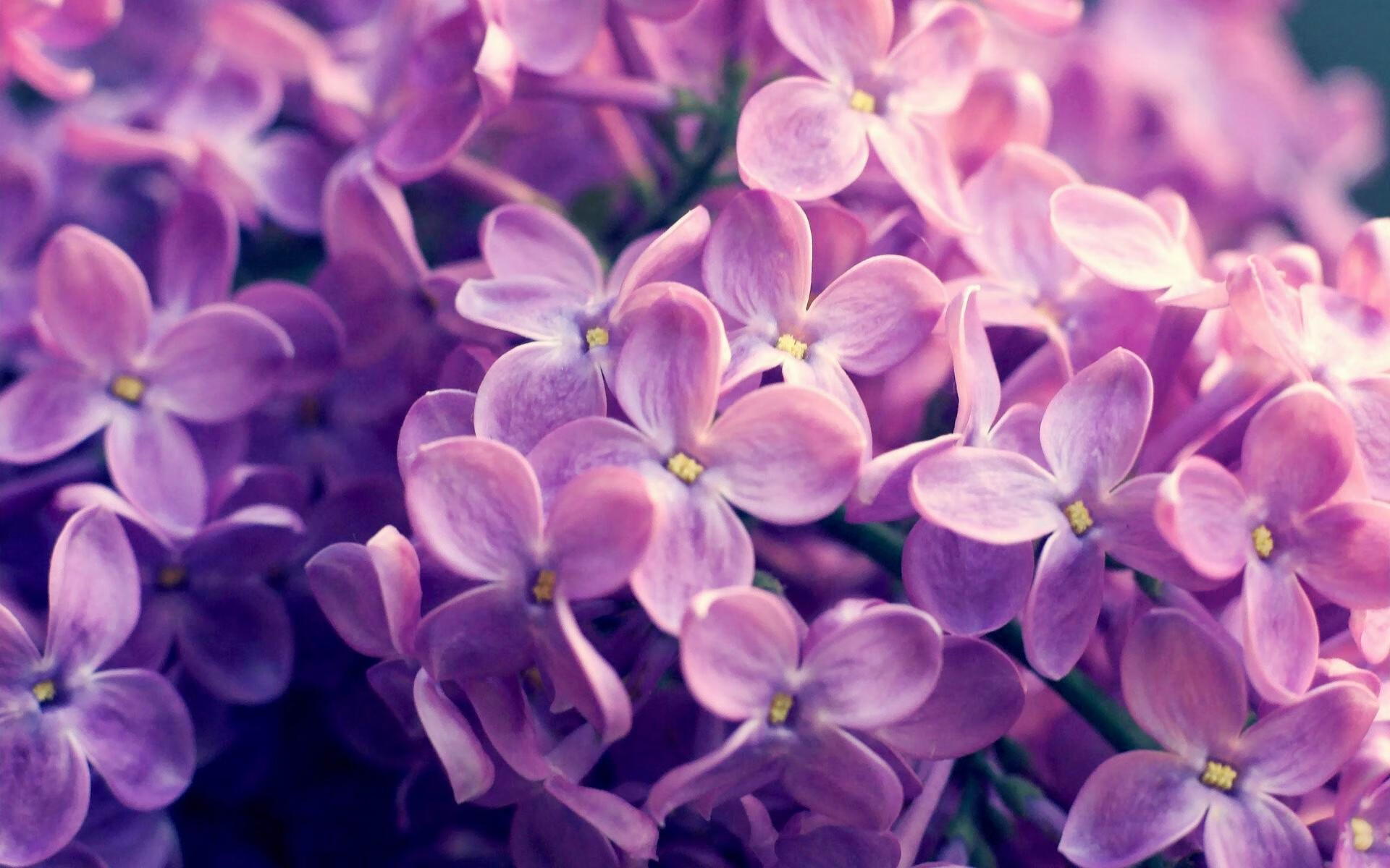 中国篮球公开赛覆盖城市数扩大对基层篮球发展的促进，中国篮球公开赛系列活动